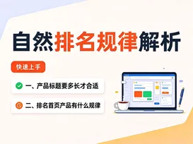 13自然排名规律解析 视频封面